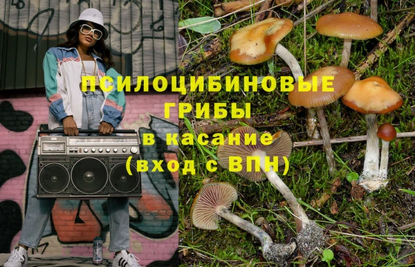 spice Алексин