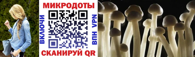 гидра   Темрюк  Галлюциногенные грибы GOLDEN TEACHER  купить наркоту 