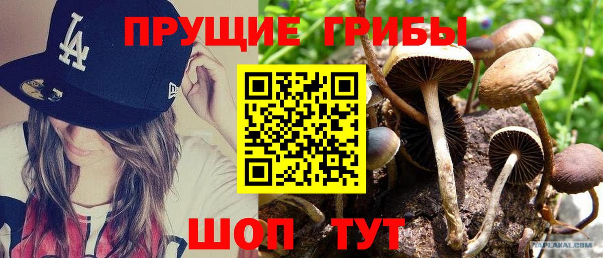 Темрюк  как найти закладки  Вход с VPN  Галлюциногенные грибы Psilocybine cubensis 